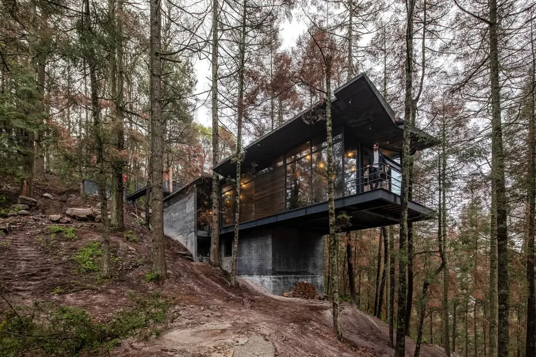 Modern elevated home surrounded by forest in Sahuayo, Michoacán.